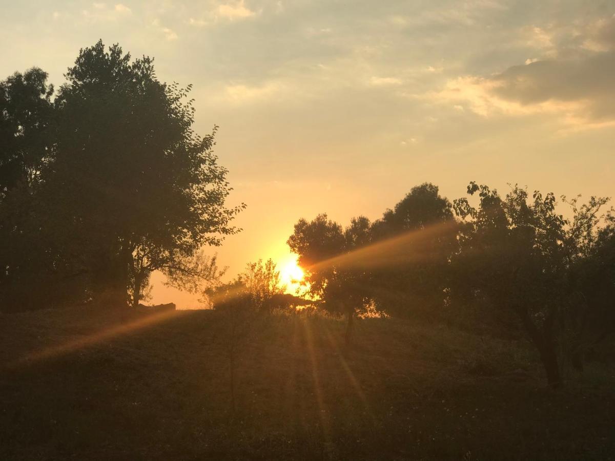 La Villetta Dei Sogni Nel Parco 罗马 外观 照片